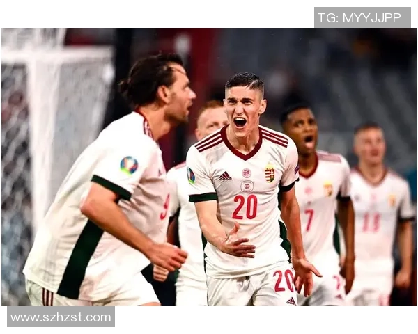 足球明星赛菲哥带你领略绿茵场上的激情与荣耀尽享足球盛宴的无限魅力